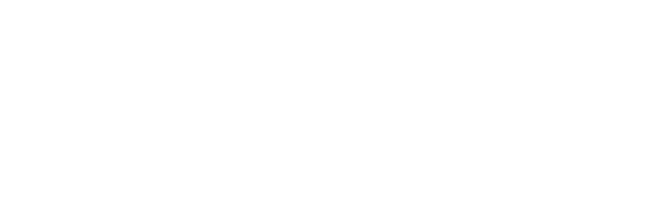Somerville Comments 4